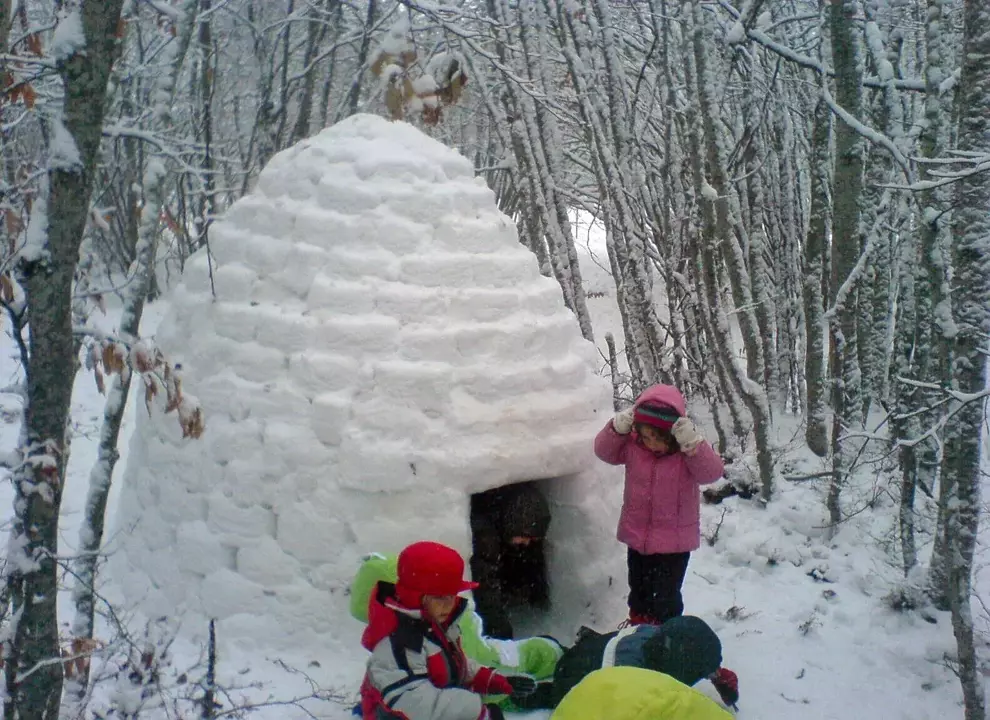 Foremki do budowy igloo z śniegu i zamku z piasku